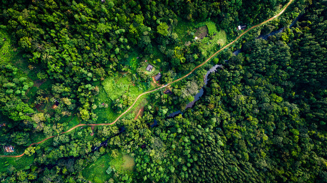 Sinharaja Rainforest